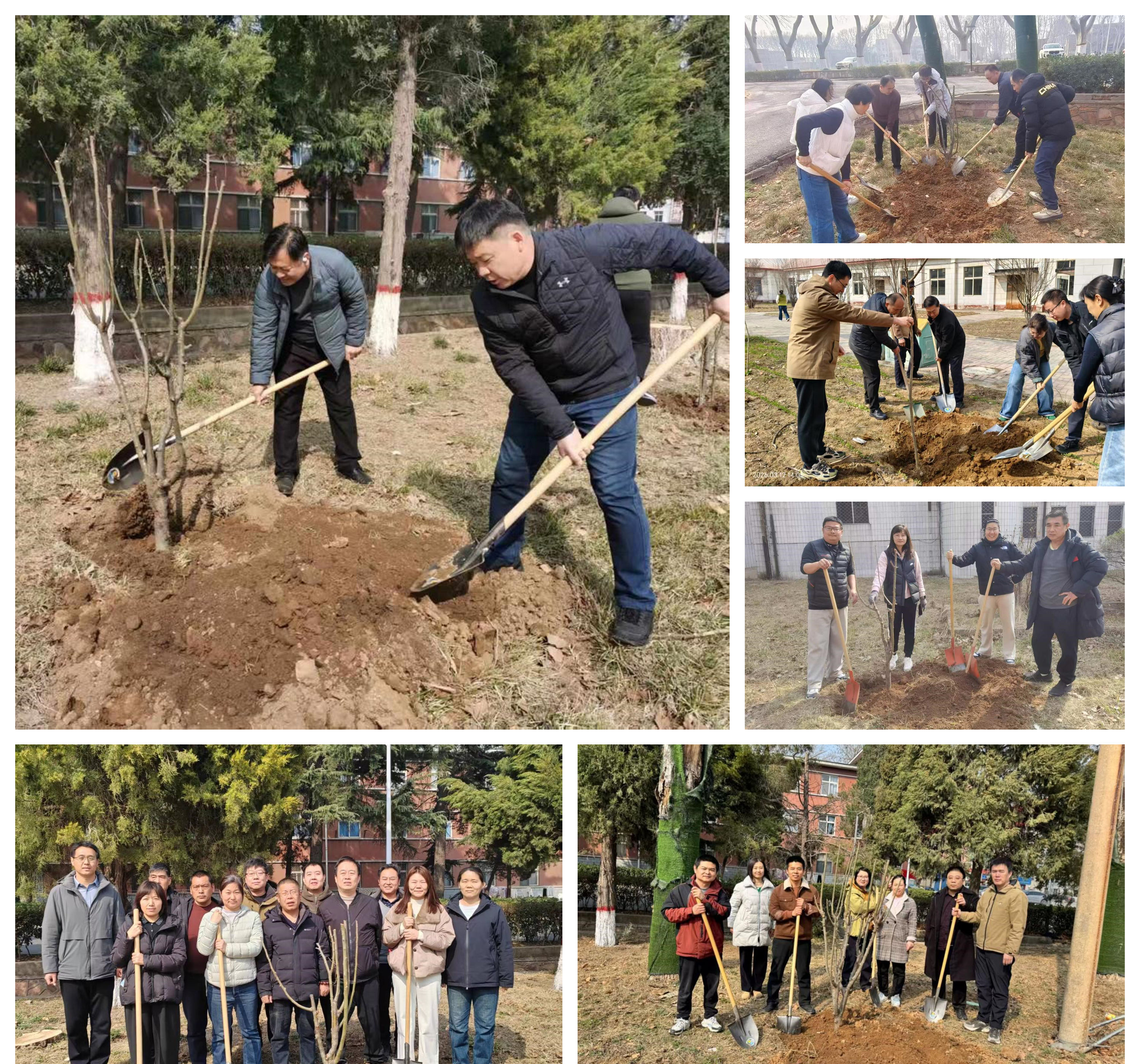 绿满校园——学院开展教职工植树活动